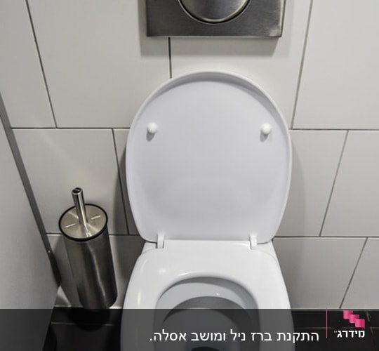 אסלה עם לחצן הדחה ומברשת ניקוי